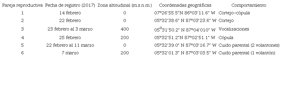 Fechas de registro y comportamientos de parejas reproductivas de Coccyzus ferrugineus en el Parque Nacional Isla del Coco durante febrero y marzo de 2017