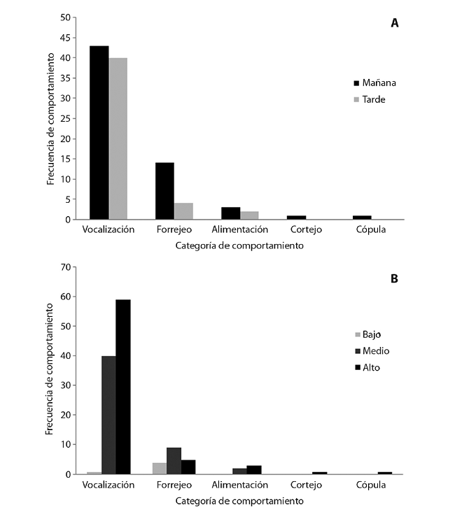 Comportamiento de Coccyzus ferrugineus:A) Frecuencias de categorías de comportamiento en dependencia de la hora del día, B) Frecuencias de categorías de comportamiento en dependencia del uso de estrato vertical de la vegetación. 