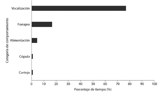 Presupuesto de tiempo de Coccyzus ferrugineus durante la época reproductiva.
