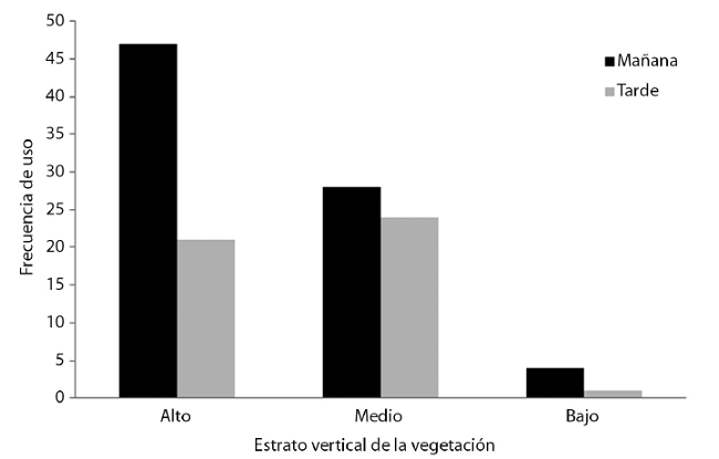 Preferencia de uso del estrato vertical de la vegetación por Coccyzus ferrugineus en dependencia de la hora del día.
