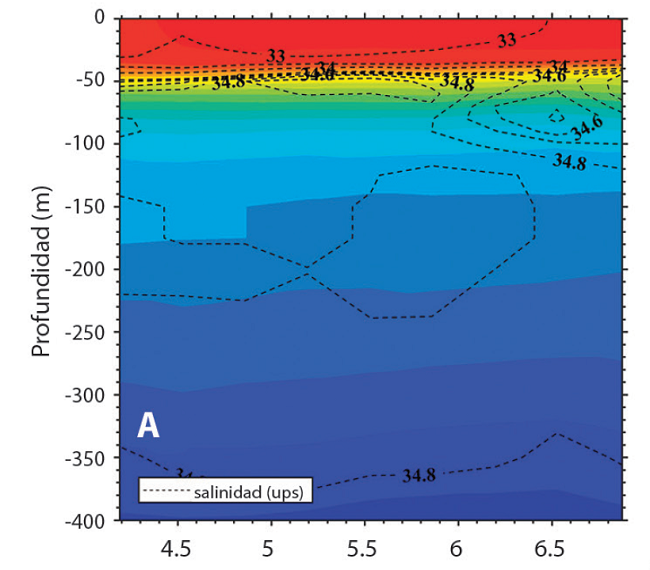 Perfil vertical de temperatura y salinidad promedio para el mes de julio 2012 obtenido de la informaci&oacute;n del rean&aacute;lisis HYCOM-NCODA. Corte en latitud para las coordenadas: A) 87.72oW, B) 87.05oW y C) 86.38oW. Los tonos de color representan la temperatura del oc&eacute;ano. Los contornos con l&iacute;neas segmentadas representan la salinidad. El intervalo de los contornos de salinidad es 0.5ups en el rango de 30 a 34.5ups y de 0.1ups en el rango de 34.5 a 35.0ups.