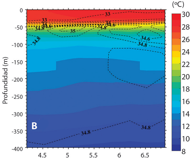 Perfil vertical de temperatura y salinidad promedio para el mes de julio 2012 obtenido de la informaci&oacute;n del rean&aacute;lisis HYCOM-NCODA. Corte en latitud para las coordenadas: A) 87.72oW, B) 87.05oW y C) 86.38oW. Los tonos de color representan la temperatura del oc&eacute;ano. Los contornos con l&iacute;neas segmentadas representan la salinidad. El intervalo de los contornos de salinidad es 0.5ups en el rango de 30 a 34.5ups y de 0.1ups en el rango de 34.5 a 35.0ups.