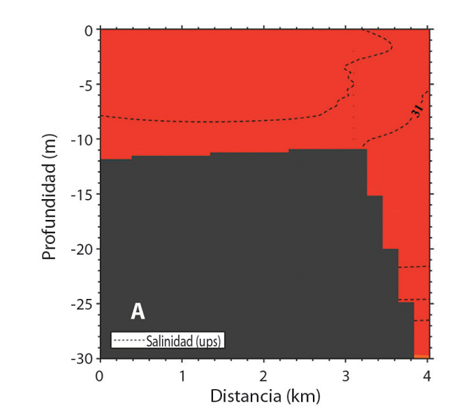 Igual que en la Fig. 2, pero para la campa&ntilde;a de marzo 2009. Transectos: A) Isla Pajara, B) Cabo Atrevida y C) Punta Mar&iacute;a. Las mediciones corresponden a los transectos con c&iacute;rculos fusia, turquesa y negro en la Fig. 1B, respectivamente.
