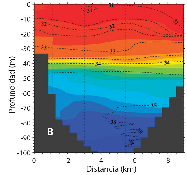 Igual que en la Fig. 2, pero para la campa&ntilde;a de marzo 2009. Transectos: A) Isla Pajara, B) Cabo Atrevida y C) Punta Mar&iacute;a. Las mediciones corresponden a los transectos con c&iacute;rculos fusia, turquesa y negro en la Fig. 1B, respectivamente.