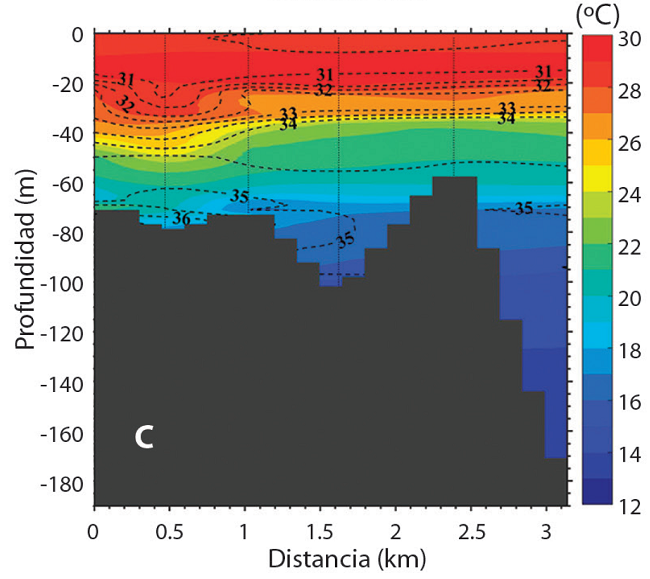 Igual que en la Fig. 2, pero para la campa&ntilde;a de marzo 2009. Transectos: A) Isla Pajara, B) Cabo Atrevida y C) Punta Mar&iacute;a. Las mediciones corresponden a los transectos con c&iacute;rculos fusia, turquesa y negro en la Fig. 1B, respectivamente.