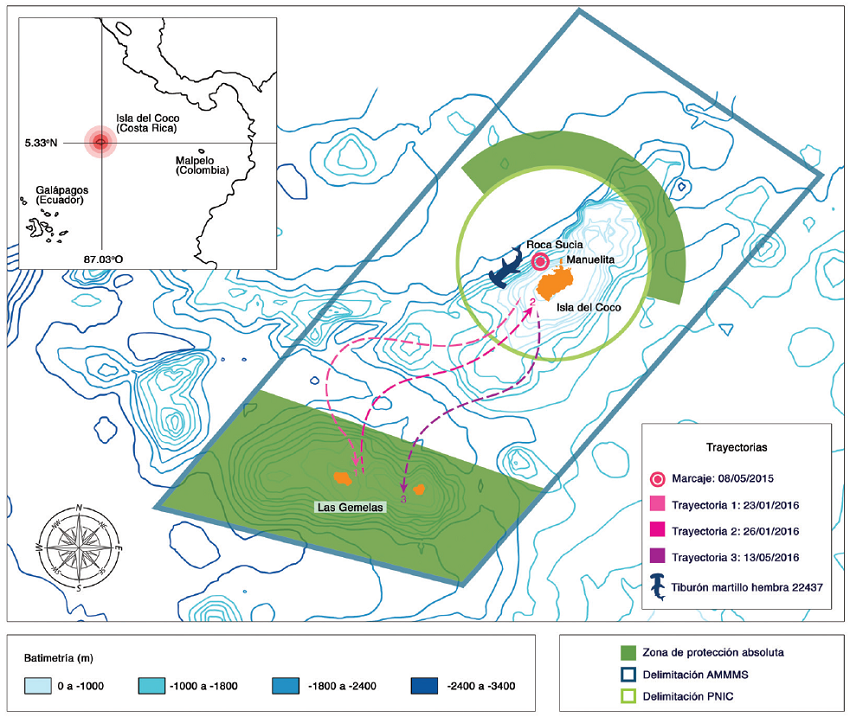 Movimientos del tibur&oacute;n martillo ID 22437 entre el Parque Nacional Isla del Coco (PNIC) y el &Aacute;rea Marina de Manejo Montes Submarinos (AMM-MS) durante mayo del 2015 y mayo del 2016. Las l&iacute;neas discontinuas sugieren la posible trayectoria realizada por el tibur&oacute;n.