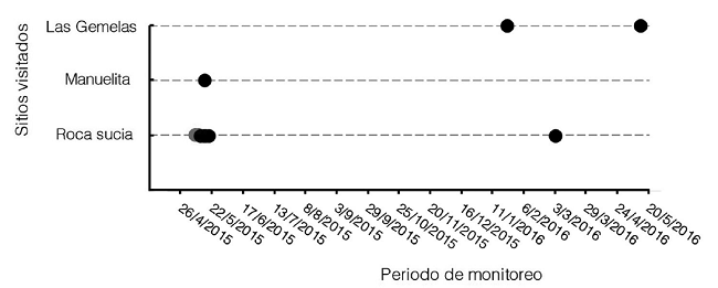 Registro de presencia-ausencia del tibur&oacute;n martillo ID 22437 en los sitios ubicados dentro del PNIC y el AMM-MS, entre mayo 2015 y mayo 2016. El punto gris indica la fecha de marcaje del tibur&oacute;n.