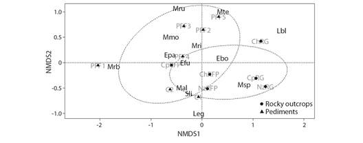Composition of the Non-Metric Dimensional Scaling (NMDS) species from the bat assemblage of the Paraje Tres Cerros, Corrientes Province, Argentina. The plot represents two habitats, rocky outcrops, and pediment, in eight sites of the study area. References are as follow: (1) gray light labels are the sites names; NzRFP, Nazareno rocky forest patches; ChRFP, Chico rocky forest patches; CpRFP, Capar&aacute; rocky forest patches; NzRG, Nazareno rocky grasslands; ChRG, Chico rocky grasslands; CpRG, Capar&aacute; rocky grasslands; PPF, Pediment forest patches (5); C, Cutwaters; (2) black labels correspond to the species (see code on Table 1). Ellipses represent 70% confidence intervals of centroids for rocky outcrops and pediments.