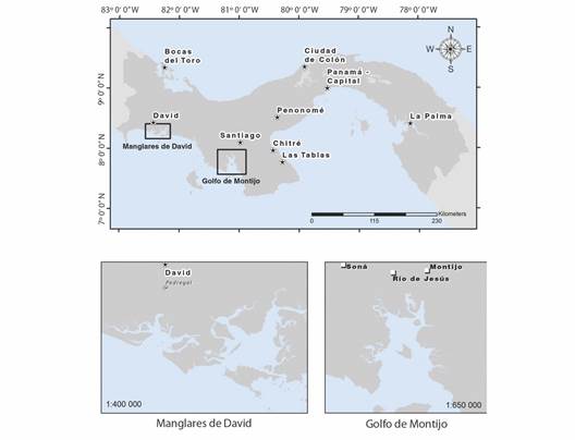 Zona de estudio, Golfo de Montijo y Manglares de David, Panam&aacute;. / Study zone, Gulf of Montijo and Mangroves of David, Panama.