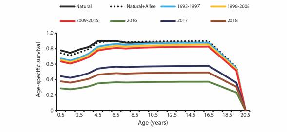 Annual age-specific survival rates of vaquita under various scenarios. Nat + Allee represents schedules including natural mortality and an Allee effect related to maternal care. The remaining lines represent the survival schedules assuming added bycatch mortality to fit estimated annual abundances in Jaramillo-Legorreta et al. (2019).