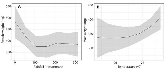 Analysis of the correlation between the weight of adult Kinosternon scorpioides scorpioides, A. Females and B. Males and the environmental variables (rainfall and temperature) in Maraj&oacute; island, Brazil.