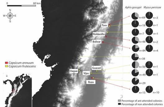 Geographical location of the sampled sites. Yellow indicates the localities with tabasco pepper (C. frutescens) crops and red indicates the localities with cayenne pepper (C. annuum) crops.