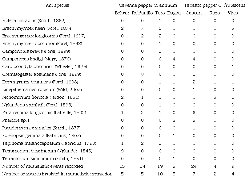 Record of ant species that attend colonies of A. gossypii in crops of Capsicum spp. in Southwestern Colombia