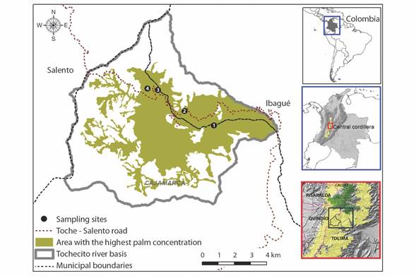 Location of the Ceroxylon quindiuense study area in the Central Cordillera of Colombia. Sampling sites at different altitudes: 1: Las Cruces (2 400 m.a.s.l.); 2: Galleguito (2 600 m.a.s.l.); 3-4: La Carbonera (2 800 and 3 000 m.a.s.l.). Based on IGAC (2014) layers.