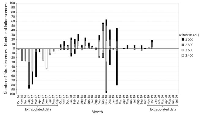 Number of staminate and pistillate inflorescences of Ceroxylon quindiuense at the Tochecito River basin, Colombia, at four elevations (2 400 to 3 000 m.a.s.l.), between 2016 and 2020.