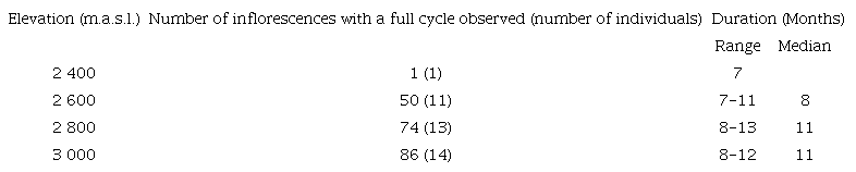 Development time of reproductive structures of Ceroxylon quindiuense in Tochecito, Tolima, Colombia, from pistillate flower to ripe fruit