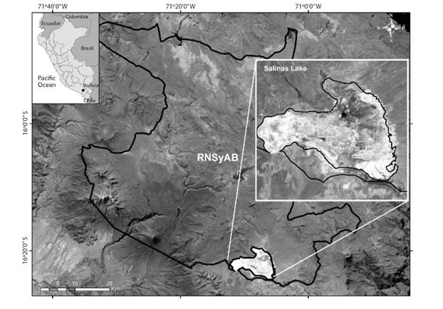 Location of the evaluation sector of the Chilean Flamingo colonies (black star) in Salinas Lake, Arequipa, Peru.