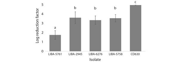 Activity of DCC against C. difficile endospores. Endospore preparations from three subtypes of the NAPCR1 strain (LIBA-5761, LIBA-2945, LIBA-6276), a NAP1 strain (LIBA-5758), and a reference laboratory strain (CD630), were tested by triplicate using a dilution-neutralization method. Results were expressed as average log10 reduction factors (LRF), whereby an LRF = 5 indicates a 99.999 % reduction in the original number of endospores. A disinfectant should reach this threshold value to be considered effective. Error bars represent standard deviations. Different letters above the bars indicate a statistically significant difference at P < 0.05 (one-way ANOVA).