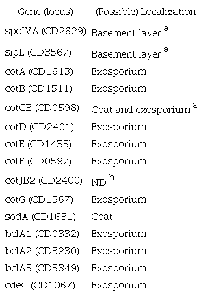 Genes for spore- or sporulation-related proteins scrutinized for structural variants