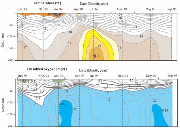 Occasional sampling (June 1993 to September 1995) at depth intervals from surface to 200 m depth at station T (Upper Golfo Dulce, near Rinc&oacute;n Bay, Fig. 1). Top. Temperature (oC) oscillations. Bottom. Oxygen (mg/l) oscillations. Oxygen concentrations of less than 2 mg/l are shaded in blue. Adapted from Acu&ntilde;a-Gonz&aacute;lez et al. (2006b).
