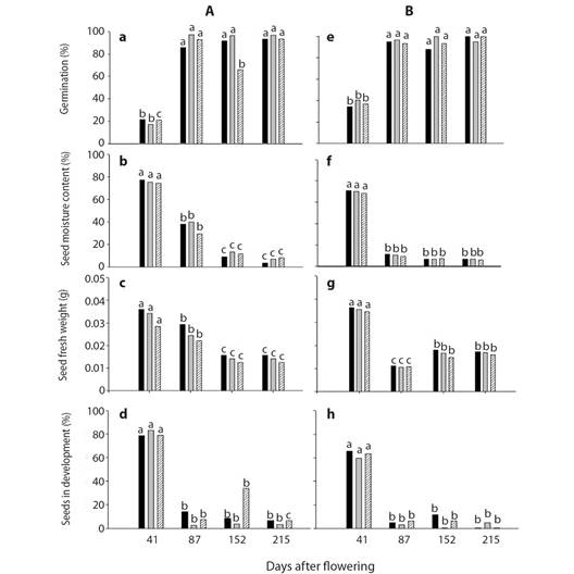 A. B. C. and D. Germination, seed moisture content, seed fresh weight and seeds in development from the plant A site 1 (Frijol Colorado, Perote, Veracruz) and E. F. G. and H of plant B, from site 2 (Tepeyahualco at the lake of Alchichica, Puebla). Each column represents the average of 5 replicates of 15 seeds each. The apex (), centre () and base () of the stalk is represented by three columns. The letters on the columns represent the effects of the time in each section of the stalk by date of days after flowering. 