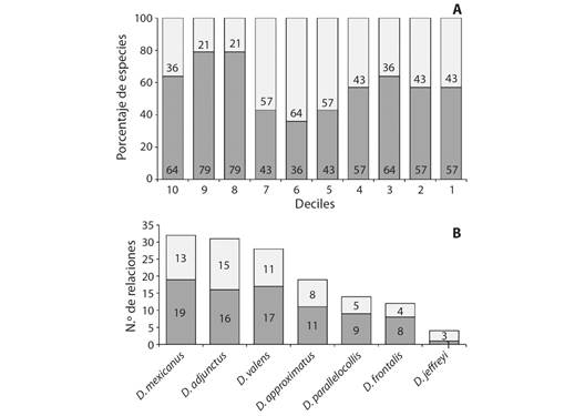 Relaciones potenciales identificadas en este estudio entre Dendroctonus y Pinus, tanto corroboradas en la literatura (Conocidas, gris oscuro) como no registradas previamente (Desconocidas, gris claro). A. Porcentaje de asociaciones conocidas y desconocidas por decil, del listado de asociaciones obtenido. B. se muestra el n&uacute;mero de asociaciones conocidas y desconocidas identificadas por descortezador. / Fig. 1. Potential relationships identified in this study between Dendroctonus and Pinus, both corroborated in the literature (Known, dark gray) and not previously recorded (Unknown, light gray). A. Percentage of known and unknown associations by decile, from the list of associations obtained. B. The number of known and unknown associations identified by bark beetle.