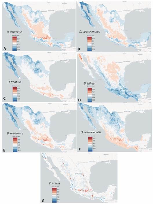 Modelos de distribuci&oacute;n potencial para las especies de Dendroctonus. A = D. adjunctus, B = D. approximatus, C = D. frontalis, D = D. jeffreyi, E = D. mexicanus, F = D. parallelocollis y G = D. valens. /Fig. 4. Potential distribution models by Dendroctonus species. A = D. adjunctus, B = D. approximatus, C = D. frontalis, D = D. jeffreyi, E = D. mexicanus, F = D. parallelocollis and G = D. valens.