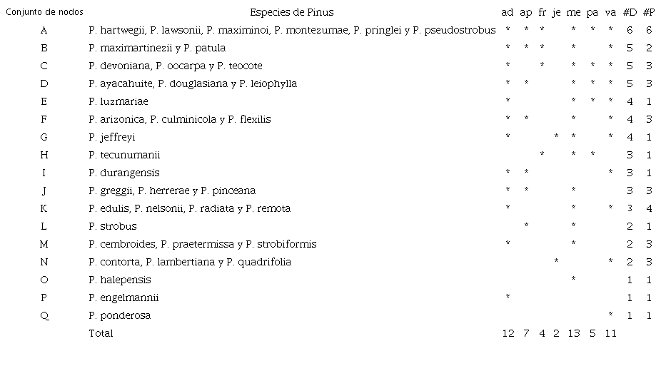 Especies de pinos agrupados en los nodos de la red y las asociaciones (*) identificadas con las especies de Dendroctonus y Pinus. / Table 1. Pine species grouped by nodes of the network and associations (*) identified between Dendroctonus and Pinus species