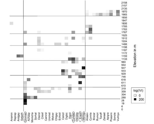 Heat map, showing the log-transformed IVI of alien species over the elevation gradient. Horizontal lines divide the eight elevation groups and vertical lines divide the three groups of species determined by the cluster analysis. Darker colours show higher values; white squares indicate absence of the alien species. The four most important species with the highest IVI are circled. For the acronyms see Table 1.