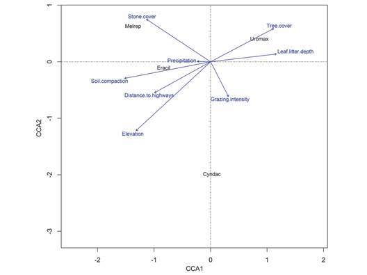 Canonical correspondence analysis showing the relation of (invasive) alien species with the highest IVI to environmental variables, with a constrained inertia (= weighted variance) of 2.17 and a significance of 0.001. The ANOVA showed a constrained inertia of 0.89 for the first axis and 0.66 for the second. Melrep = Melinis repens, Eracil = Eragrostis ciliaris, Uromax = Urochloa maxima, Cyndac = Cynodon dactylon.