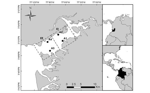 Bahía de Buenaventura: área de estudio y estaciones de muestreo. Las líneas punteadas representan las dos zonas de muestreo, Estuario Interno (EI) y Estuario Externo (EE). Los puntos representan los sitios de muestreo. Fig. 1. Buenaventura Bay: study area and sampling stations. The dotted lines represent the two sampling zones, Internal Estuary (EI) and External Estuary (EE). The dots represent the sampling sites.