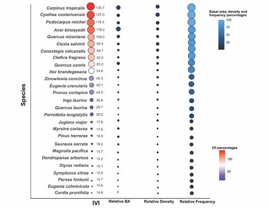 Importance Index Value (IVI) of the species present in the remnant cloud forest in West-central Mexico. Percentage values are displayed in descending order for IVI, Relative Basal Area (BA), Relative Density and Relative Frequency.