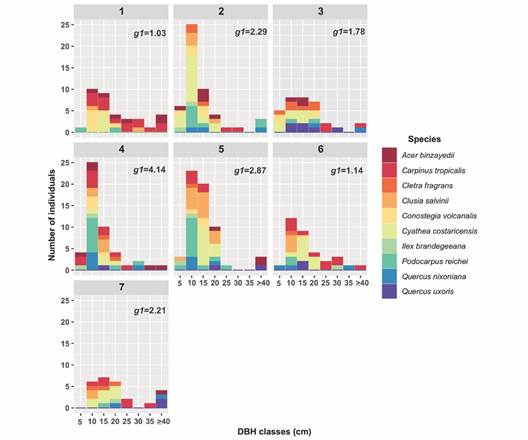 Diameter at Breast Height (DBH) class frequency distribution by plot considering the ten species with Importance Index Values > 70 %. g1 = coefficient of skewness.