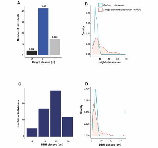 A. Height class frequency distribution for Cyathea costaricensis population, B. Kernel probability density plot for height for Cyathea costaricensis (blue line) and the canopy-dominant species with IVI > 70 % (red line), C. DBH class frequency distribution for Cyathea costaricensis population, D. Kernel probability density plot for DBH for Cyathea costaricensis (blue line) and the canopy-dominant species with IVI > 70 % (red line).