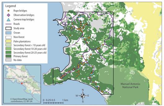 Map of the study area in Costa Rica with vegetation types overlaid with the locations of rope bridges (vegetation data from Broadbent et al., 2012).
