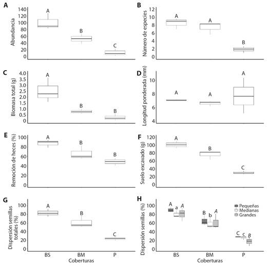 Efecto de la cobertura vegetal (BS, bosque secundario; BM, bosque mixto; P, potrero) sobre los atributos del ensamble (valores promedio por trampa por sitio) de escarabajos copr&oacute;fagos (
							A. abundancia; 
							B. n&uacute;mero de especies; 
							C. biomasa total; 
							D. longitud ponderada) y sus funciones ecol&oacute;gicas (valores promedio por estaci&oacute;n por sitio; 
							E. remoci&oacute;n de heces; 
							F. suelo excavado; 
							G. dispersi&oacute;n de semillas totales; 
							H. dispersi&oacute;n de semillas por tama&ntilde;o de semillas). Letras diferentes sobre las barras indican diferencias estad&iacute;sticas significativas (P < 0.05) con la prueba post hoc de Tukey. / 
							Fig. 2. Effect of vegetation cover (BS, secondary forest; BM, mixed forest; P, cattle pasture) on the attributes of the assemblage (mean values per trap per site) of dung beetles (
							A., abundance; 
							B. number of species; 
							C. total biomass; 
							D. weighted mean length) and its ecological functions (average values per station per site; 
							E. dung removal; 
							F. soil excavation; 
							G. total seed dispersal; 
							H. seed dispersal by seed size). Different letters above bars indicate significant statistical differences (P < 0.05) with Tukey&rsquo;s post hoc test.
						