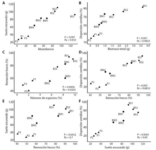 Las tres correlaciones m&aacute;s fuertes entre cada una de las funciones y alg&uacute;n atributo del ensamble (
							A, 
							B, 
							C; los estad&iacute;sticos de las dem&aacute;s correlaciones entre funciones y atributos se pueden encontrar en Ap&eacute;ndice 3) y correlaciones entre las tres funciones ecol&oacute;gicas (
							D, 
							E, 
							F). Cada punto representa un sitio de estudio en cada una de tres coberturas vegetales: BS, bosque secundario; BM, bosque mixto; P, potrero. / 
							Fig. 3. The three strongest correlations between each of the functions and some attribute of the assemblage (
							A, 
							B, 
							C; the statistical values of the other correlations between functions and attributes can be found in Appendix 3) and correlations between the three ecological functions (
							D, 
							E, 
							F). Each point represents a study site in each of three vegetation covers: BS, secondary forest; BM, mixed forest; P, cattle pasture.
						