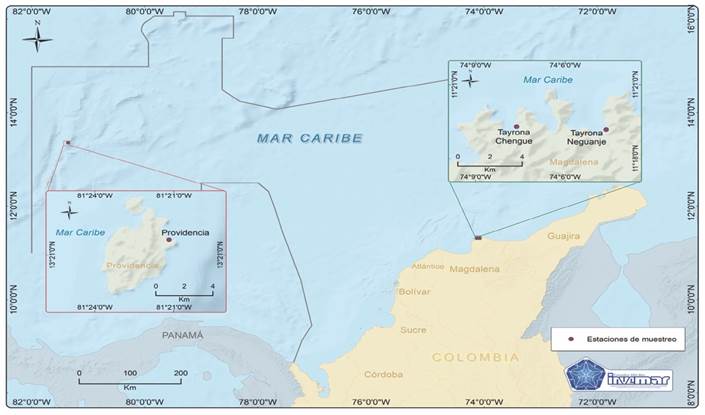 &Aacute;rea de muestreo de T. testudinum en tres sectores del Caribe Colombiano: Isla Providencia y Parque Nacional Natural Tayrona en las bah&iacute;as de Chengue y Neguanje. / Fig. 1. Sampling area of T. testudinum in three sectors of the Colombian Caribbean: Providencia Island and Tayrona National Natural Park in the Chengue and Neguanje bays.