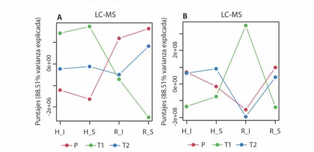 Patrones principales en la variaci&oacute;n metab&oacute;lica asociados con la interacci&oacute;n entre los factores parte vegetal - condici&oacute;n de la planta [hojas (H) y rizomas (R), sanos (S) o infectados (I)] y lugar [Providencia (P), bah&iacute;a de Neguanje (T1), bah&iacute;a de Chengue (T2)], resultado del An&aacute;lisis de Componentes Simult&aacute;neos-ANOVA (ASCA) de los perfiles obtenidos con el an&aacute;lisis por A. LC-MS y B. GC-MS de las muestras de T. testudinum. / Fig. 3. Main patterns in metabolic variation associated with the interaction between the plant part - plant condition factors [leaves (H) and rhizomes (R), healthy (S) or infected (I) and place [Providencia (P), Neguanje bay (T1), Chengue bay (T2)], result of Simultaneous Component Analysis-ANOVA (ASCA) of the profiles obtained with the analysis by A. LC-MS and B. GC-MS of T. testudinum samples.