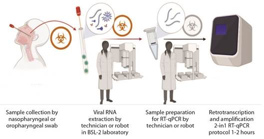 Schematic workflow of COVID-19 testing using the standard RT-qPCR protocol. Two separate steps require sample handling and pipetting by a technician or robot. Red biohazard symbols illustrate steps with potentially bio-contagious samples, while gray biohazard symbols represent steps that no longer have contagious potential. Created with BioRender.