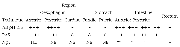 Relative abundance of Alcian Blue (AB), Periodic Acid Schiff (PAS) and Npy-immunoreactive (-ir) positive cells along the different regions of the digestive tract of Cichlasoma dimerus