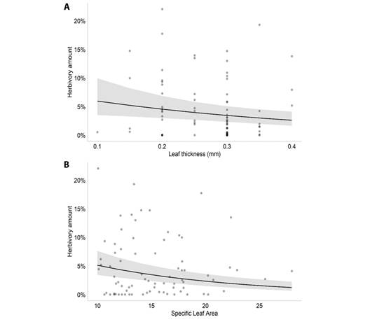 Plot of the significant effects of the Generalized Linear Mixed Model performed for M. arborescens in the Caxiuan&atilde; National Forest, Brazil.A. Effect of leaf thickness (mm) on leaf herbivory amount of Montrichardia arborescens; B. Effect of specific leaf area on leaf herbivory amount of Montrichardia arborescens.