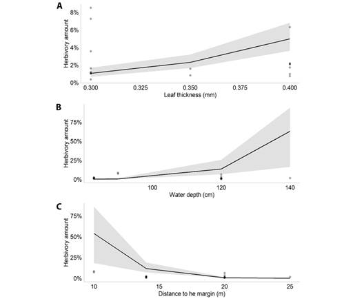 Plot of the significant effects of the Generalized Linear Mixed Model performed for M. linifera in the Caxiuan&atilde; National Forest, Brazil.A. Effect of leaf thickness (mm) on leaf herbivory amount of Montrichardia linifera; B. Effect of water depth on leaf herbivory amount of Montrichardia linifera; C. Effect of the distance to the margin on leaf herbivory amount of Montrichardia linifera.