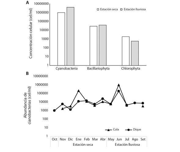 A. Comparativa de los grupos fitoplanctónicos más abundantes durante el período de estudio a escala temporal en el Embalse Cerrón Grande. B. Comparativa de la abundancia total de cianobacterias (escala logarítmica) entre el sector de cola (nor-oeste E1, E2 y E3) y dique (sur-este E4, E5 y E6) del Embalse Cerrón Grande. / Fig. 3. A. Comparison of the most abundant phytoplankton groups during the study on a temporal scale in Embalse Cerrón Grande. B. Comparison of the total abundance of cyanobacteria (logarithmic scale) between the tail sector (north-west E1, E2 and E3) and the dike (south-east E4, E5 and E6) in Embalse Cerrón Grande.