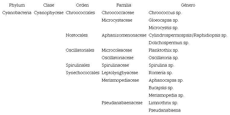Clasificación taxonómica a nivel de géneros de cianobacterias identificados en el Embalse Cerrón Grande. Table 2. Taxonomic classification of cyanobacteria identified in Embalse Cerrón Grande.