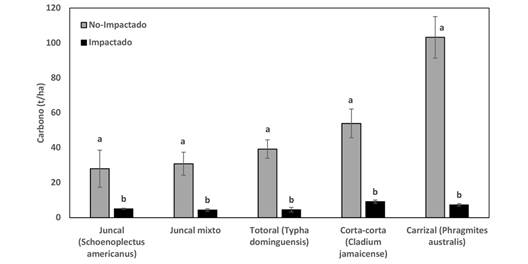 Almacenamiento de carbona (t/ha) en comunidades vegetales impactadas y no impactadas por un incendio en los Pantanos de Villa (Lima-Per&uacute;). / Fig. 4. Carbon storage (t/ha) in plant communities impacted and not impacted by a fire in the Pantanos de Villa (Lima-Peru).