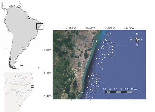 Geographical position of Pernambuco State in Northeast Brazil and the Metropolitan Region of Recife (MRR) (inset). ∆ and + represent Capibaribe and Jaboat&atilde;o rivers, respectively, and the white dots represent the locations of BRUVS deployments in November 2017.