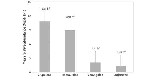 Mean relative abundance of individuals per hour of sampling (MaxN h-1) of the most representative families recorded in BRUVS surveys in the Metropolitan Region of Recife. 