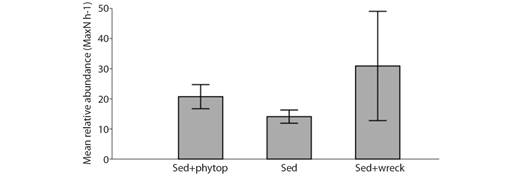 Mean relative abundance of individuals per hour of sampling (&plusmn; SE) (MaxN h-1) observed in BRUVS surveys in different habitat types (Sediment with phytobenthos, Sediment, and Sediment in shipwreck area) of the Metropolitan Region of Recife in November 2017.