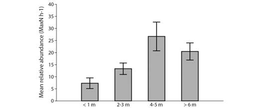 Mean relative abundance of individuals per hour of sampling (&plusmn; SE) (MaxN h-1) observed in BRUVS deployed in different visibility classes of the Metropolitan Region of Recife (MRR) in November 2017.
